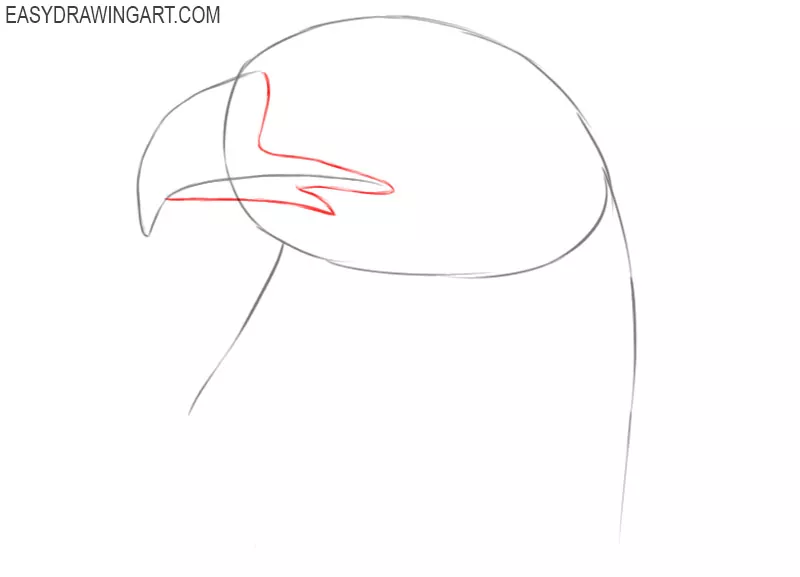 how to draw a eagle head