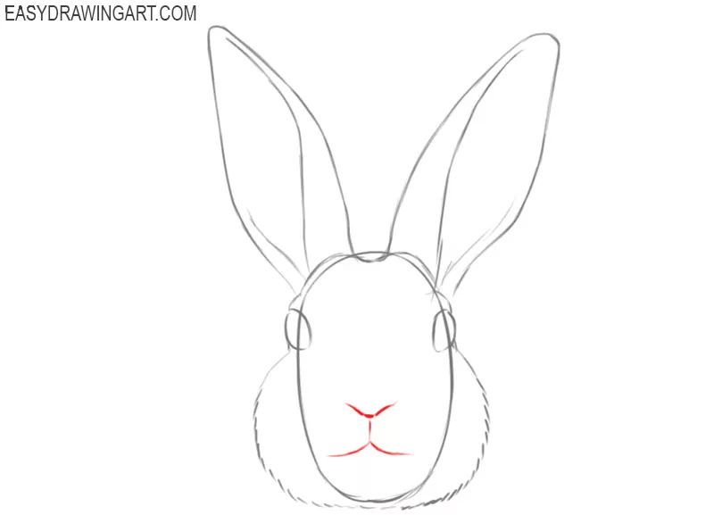 how to draw a face of a bunny