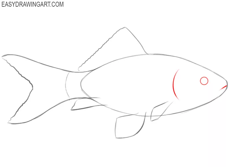Fish Drawing - How To Draw A Fish Step By Step