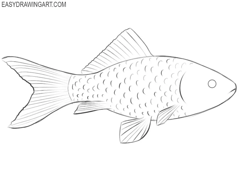 Black and white fish drawing simple hand drawn Vector Image-saigonsouth.com.vn