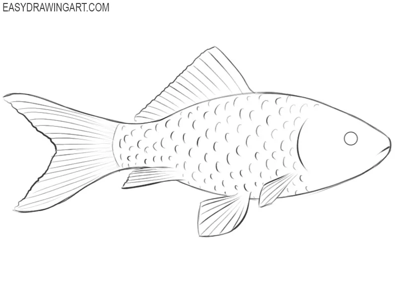 how to draw a fish easy way