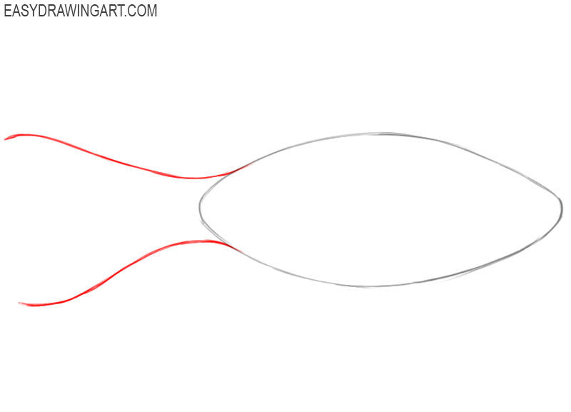 how to draw a fish step by step