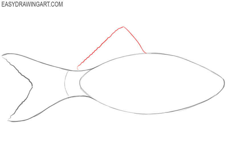 how to draw a fish and colour it