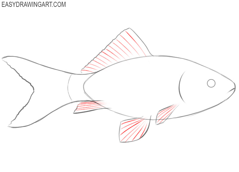 how to draw a cute fish step by step