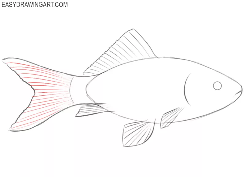 how to draw a cool fish