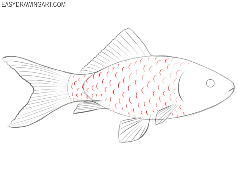 how to draw a fish draw so cute