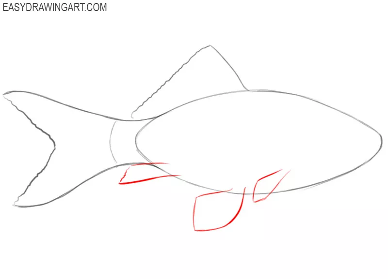 how to draw a fish step by step easy