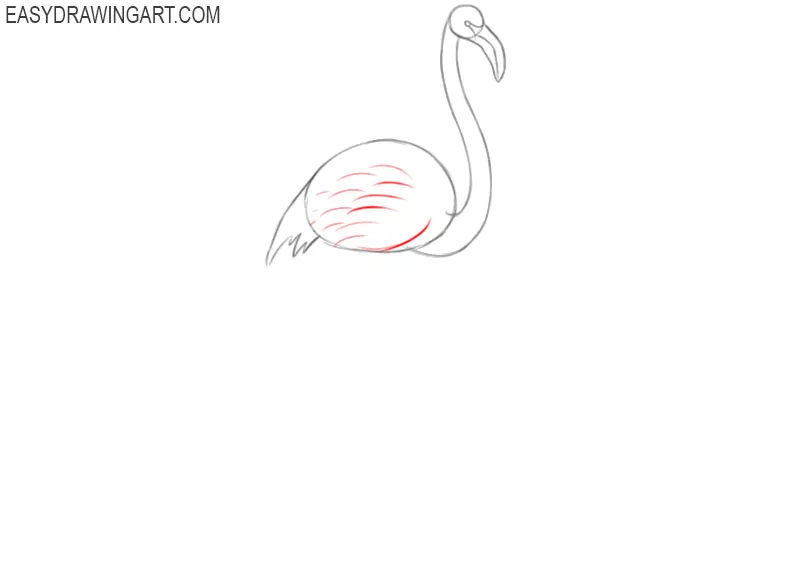 how to draw a flamingo bird