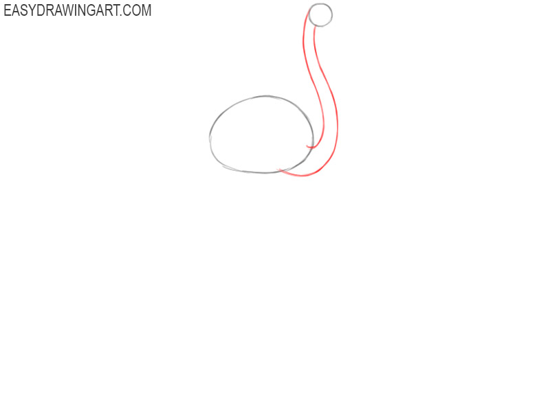 how to draw a flamingo step by step