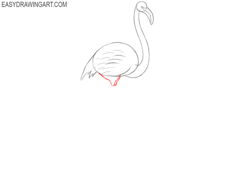how to draw a basic flamingo