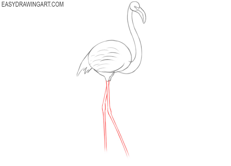 how to draw a cute flamingo