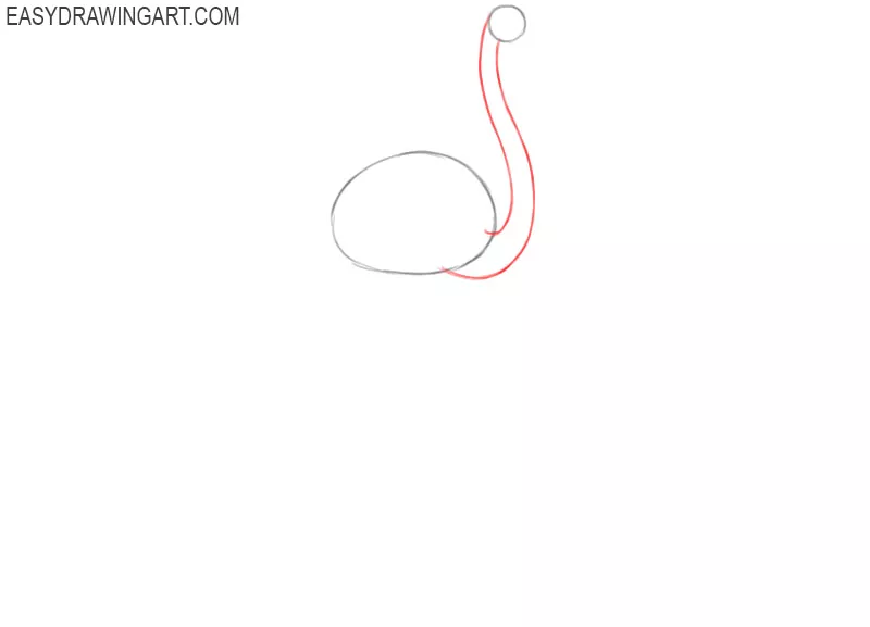 how to draw a flamingo step by step