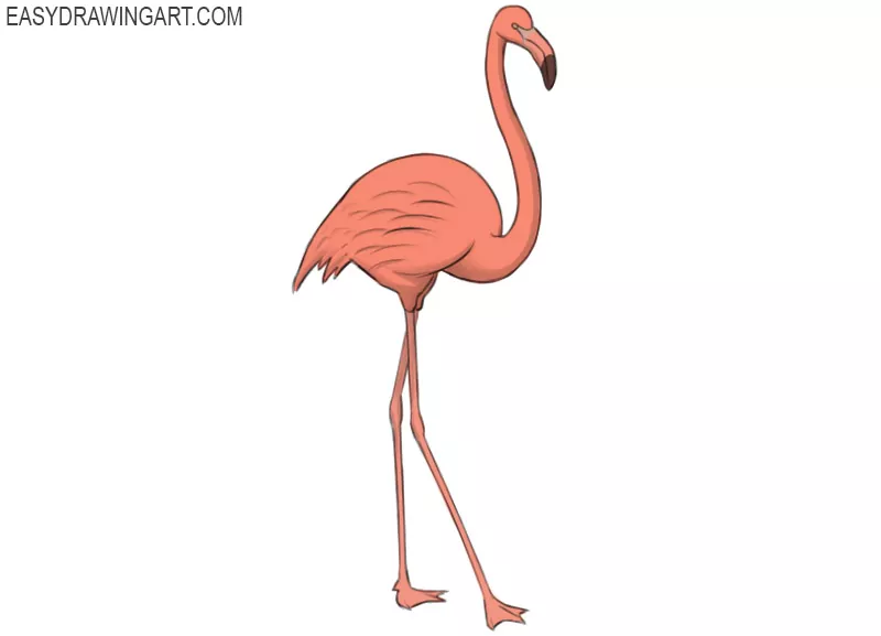 how to draw a flamingo