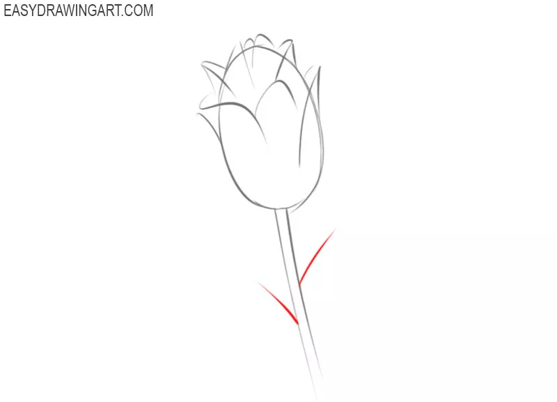 how to draw a flower easy and beautiful