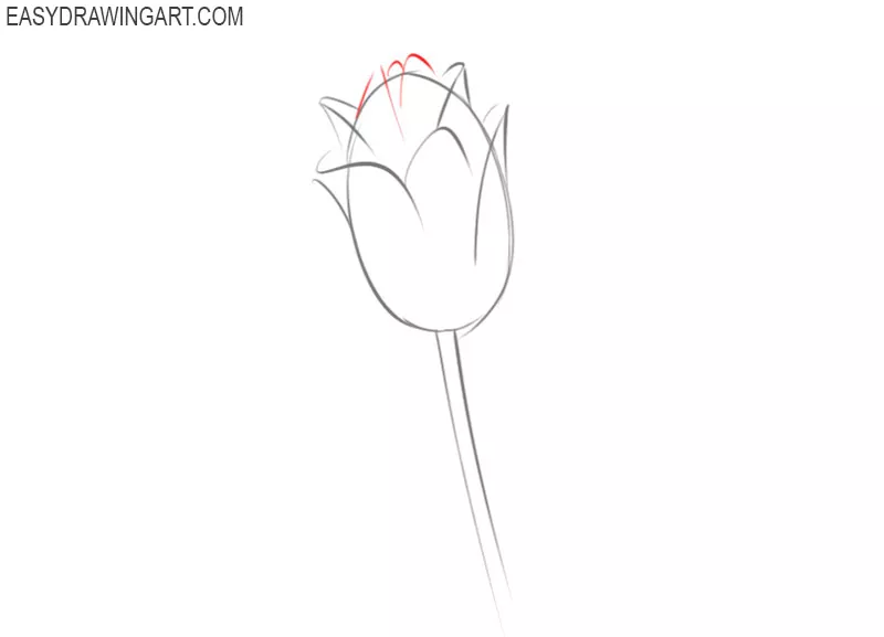 how to draw a flower easy for beginners