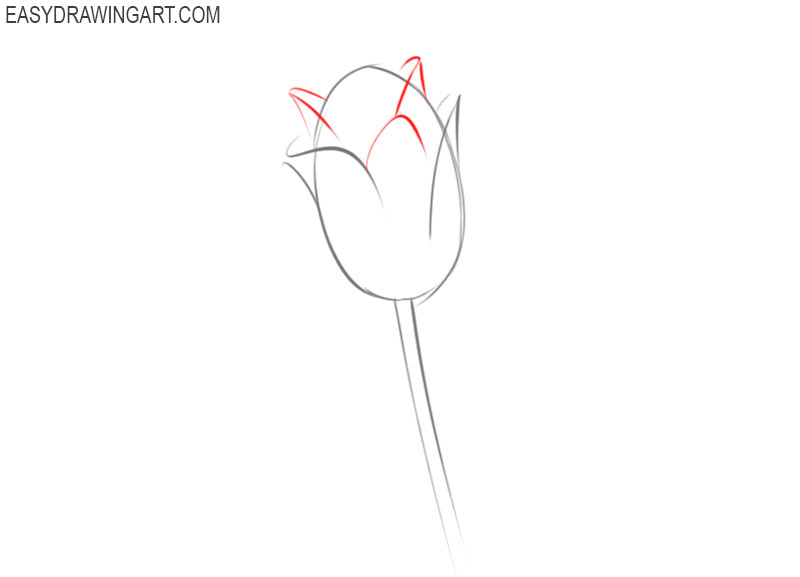 how to draw a flower easy step by step