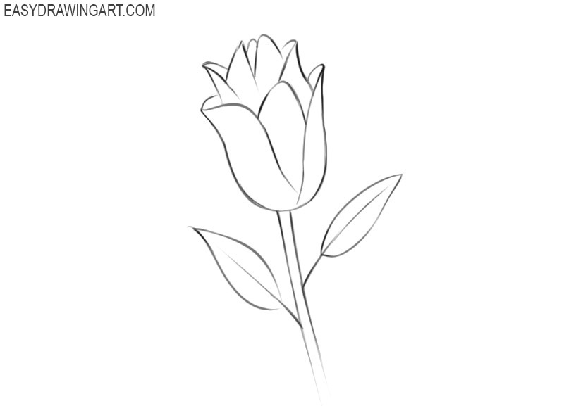 how to draw a flower easy tutorial