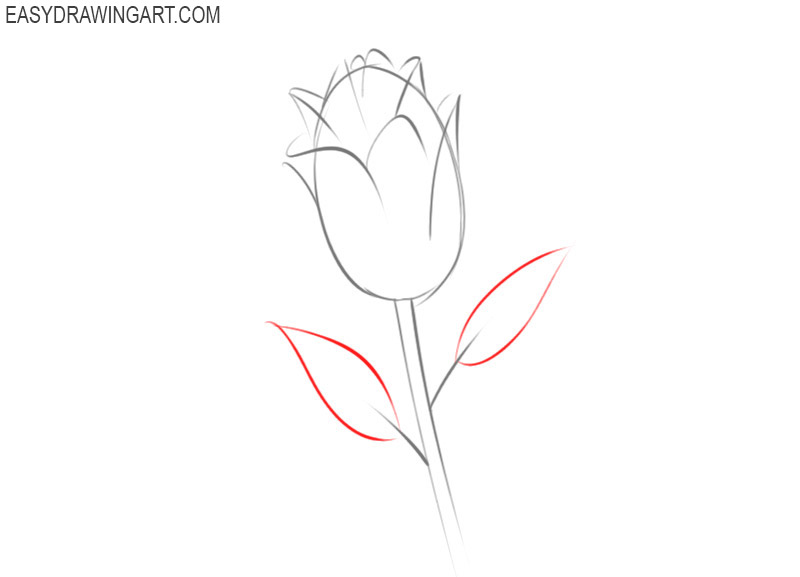 how to draw a flower easy way