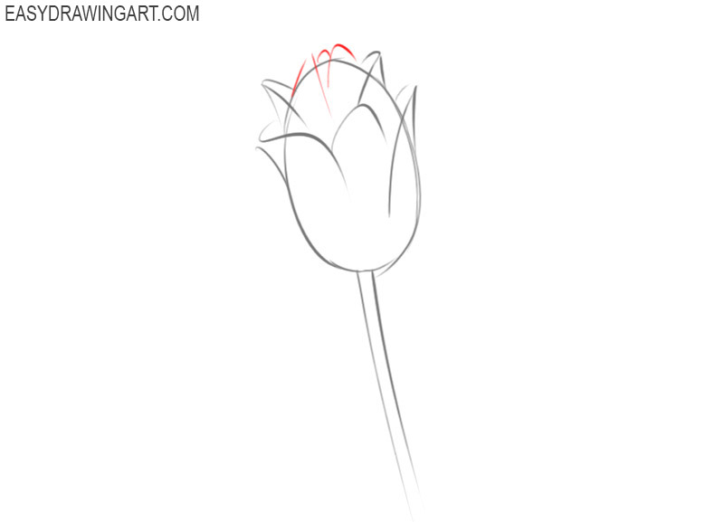 how to draw a flower easy for beginners