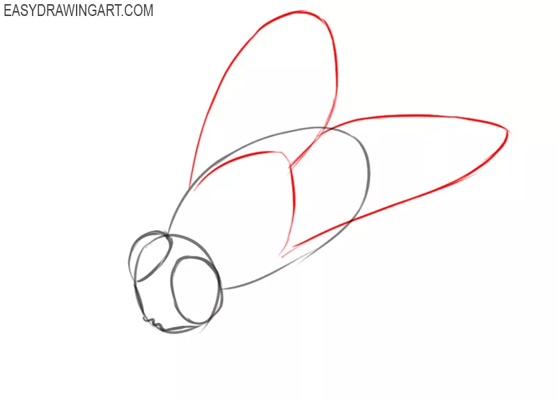 how to draw a cute fly
