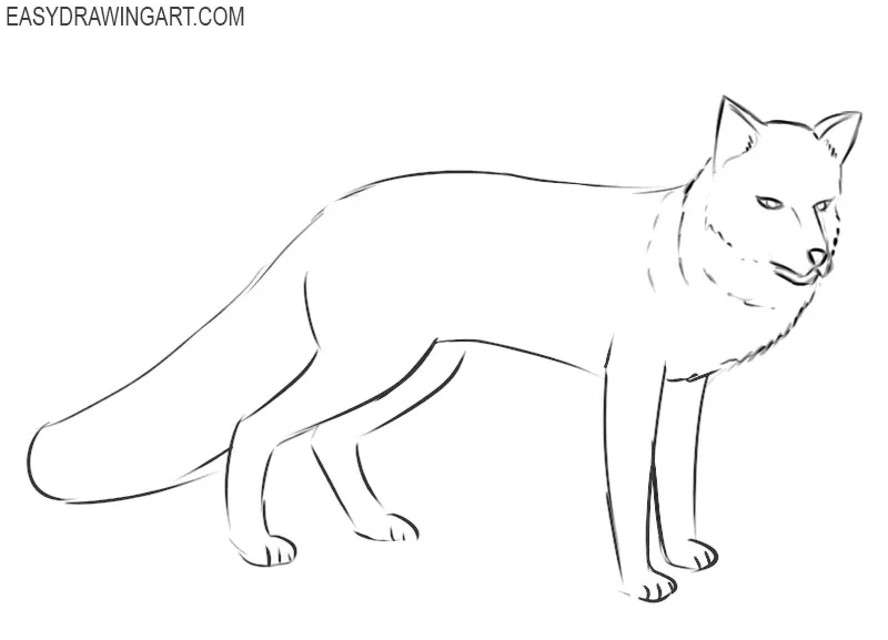 how to draw a fox easy steps