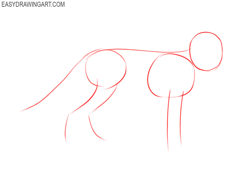 how to draw a fox step by step