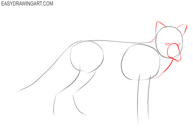 how to draw a fox easy