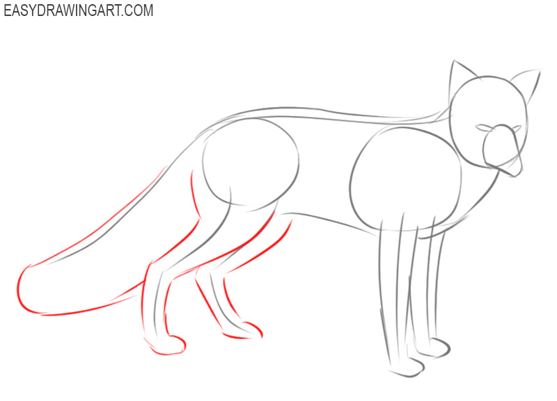 how to draw a basic fox