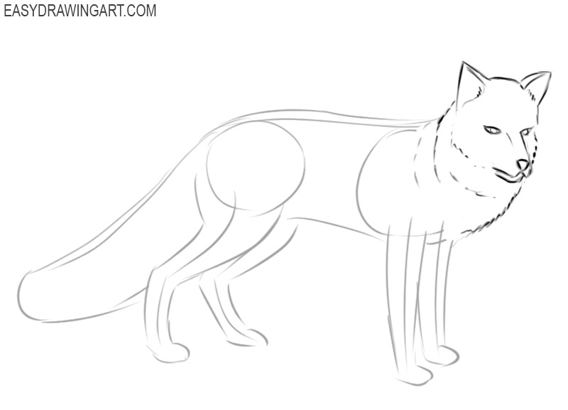 how to draw a fox easy cute