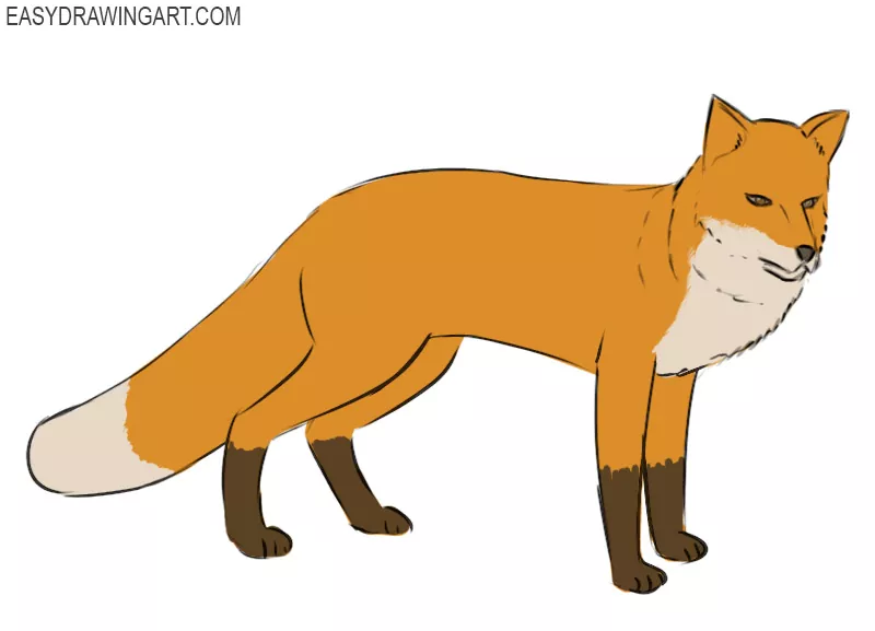 How To Draw A Fox Easy Drawing Art