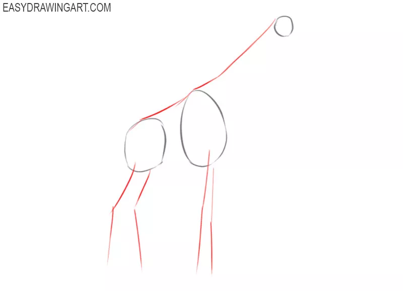 how to draw a giraffe for kids