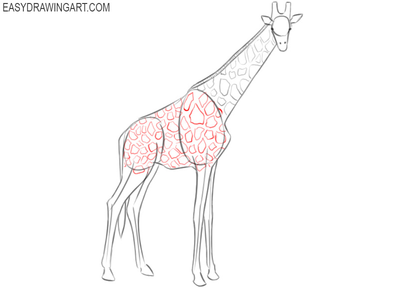 How to Draw a Giraffe | HowStuffWorks