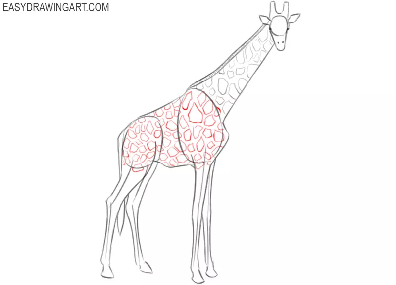 how to draw a giraffe in steps