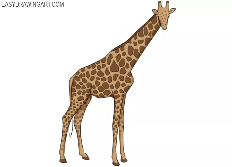 how to draw a giraffe