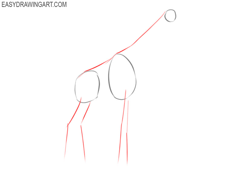 how to draw a giraffe for kids