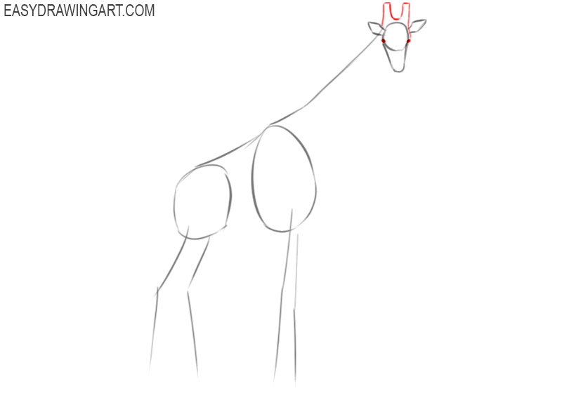 how to draw a giraffe step by step