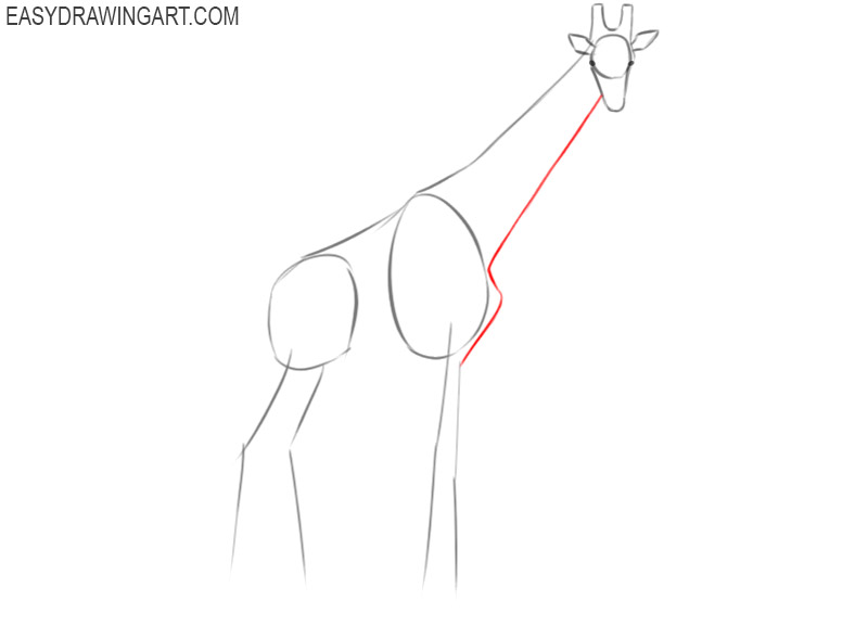 how to draw a cartoon giraffe step by step