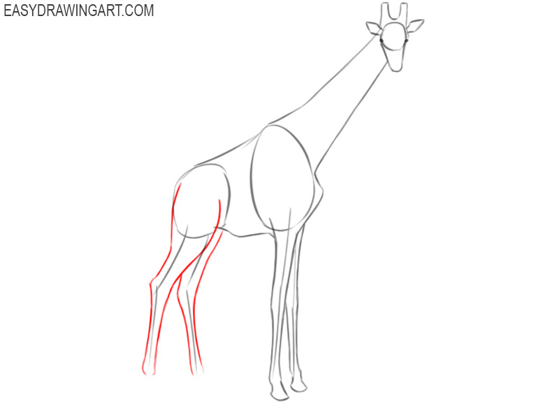 how to draw a giraffe so cute