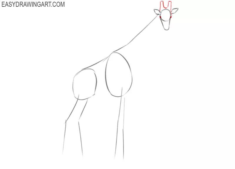how to draw a giraffe step by step