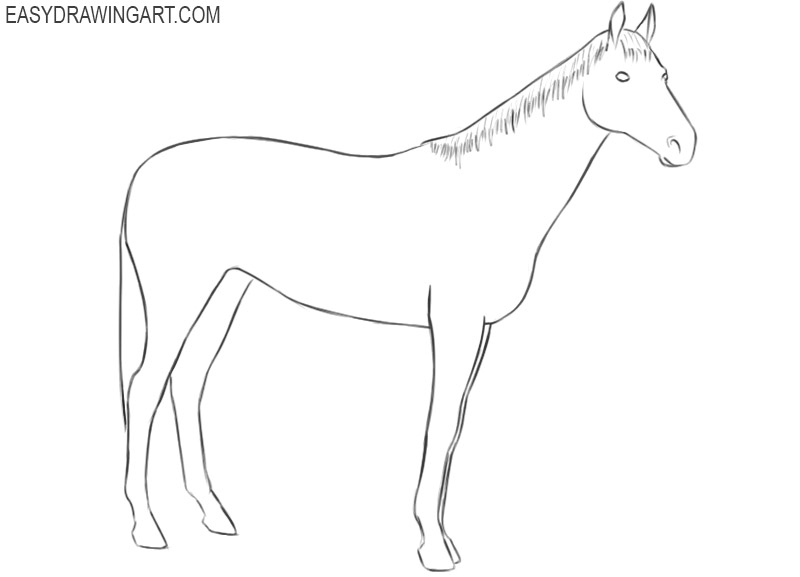 how to draw a good horse