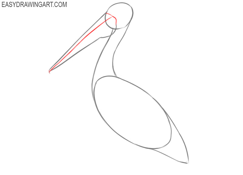 how to draw a good pelican