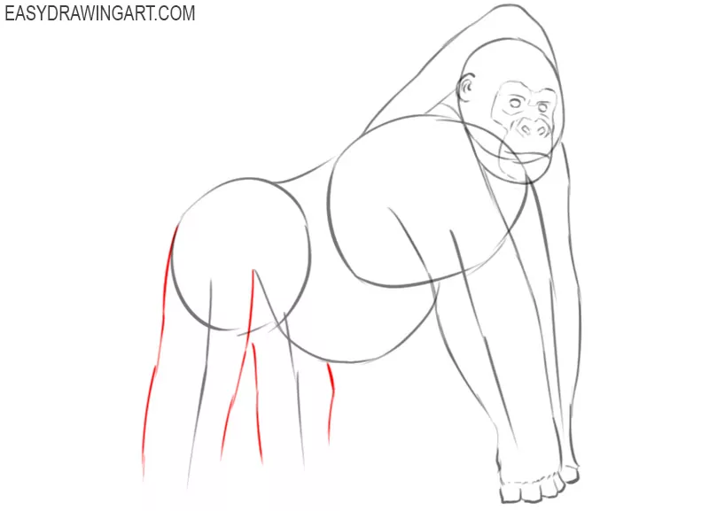 how to draw a gorilla draw so cute