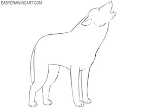 How to Draw a Howling Wolf - Easy Drawing Art