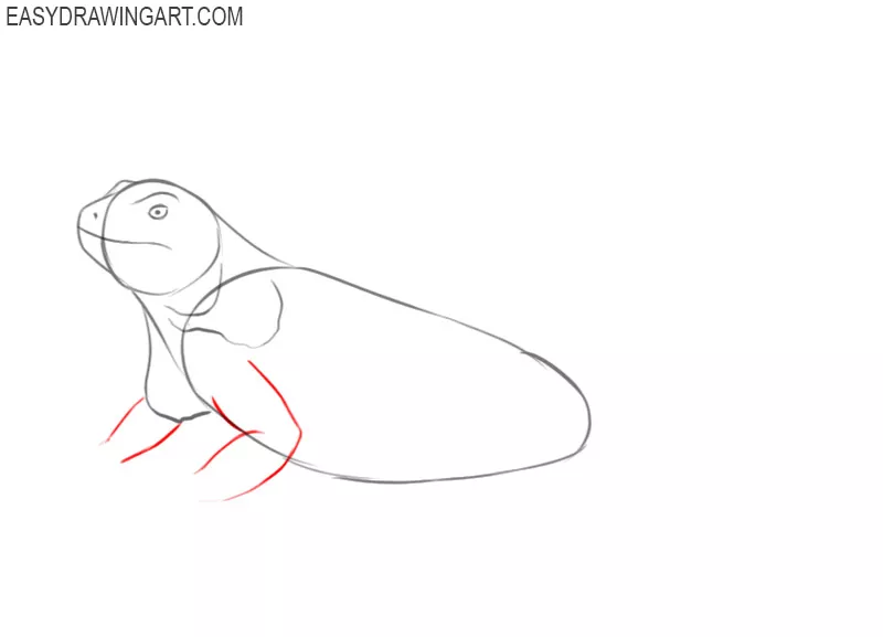 how to draw a green iguana step by step