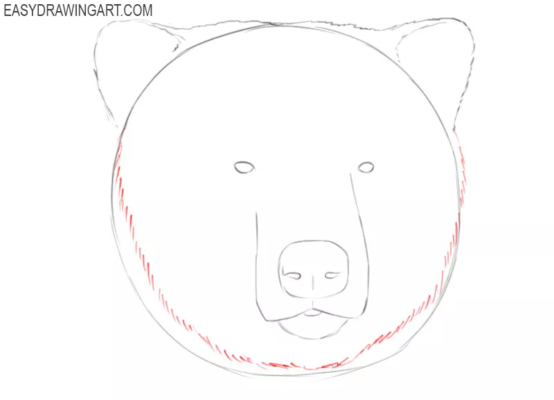 how to draw a grizzly bear head step by step