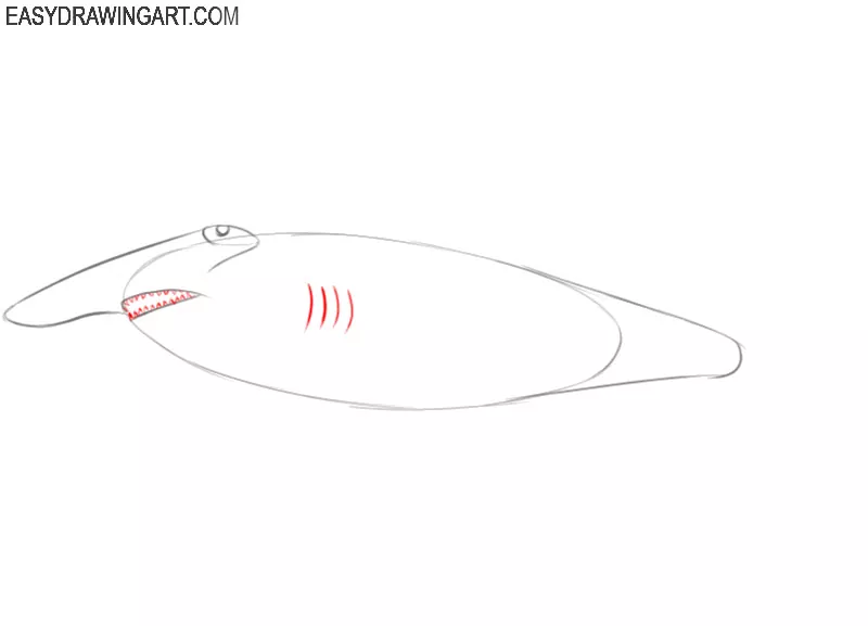 how to draw a hammerhead shark cartoon