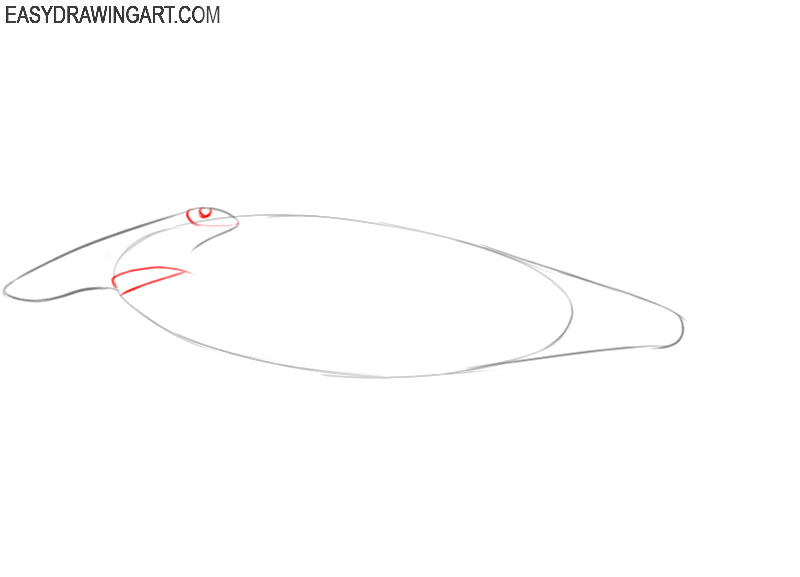 how to draw a hammerhead shark step by step easy