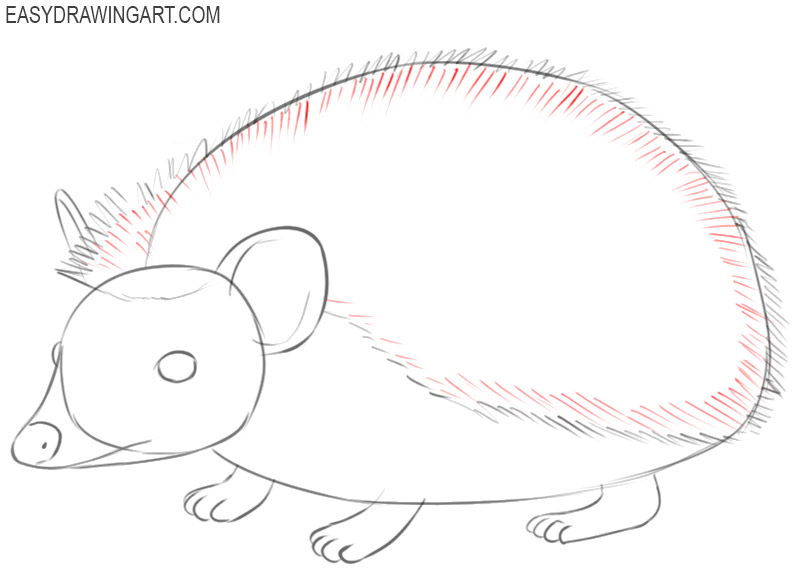 how to draw a hedgehog cartoon 