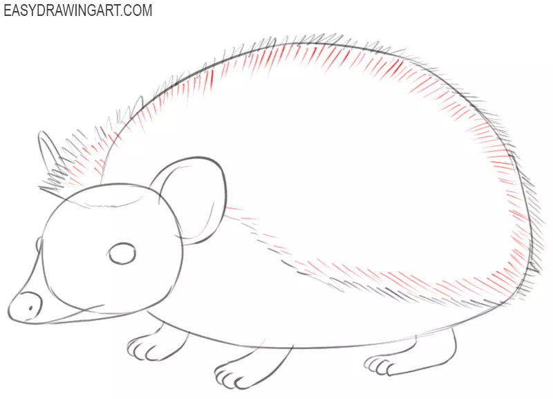 How to Draw a Hedgehog - Easy Drawing Art