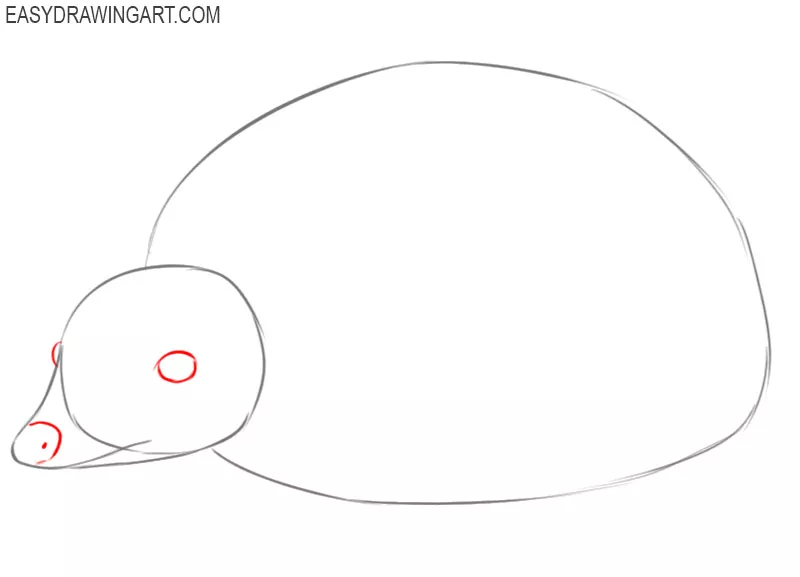 how to draw a hedgehog easy 